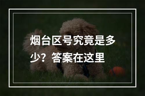 烟台区号究竟是多少？答案在这里