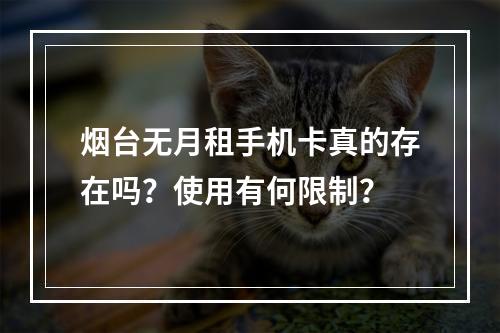 烟台无月租手机卡真的存在吗？使用有何限制？