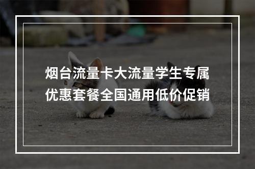 烟台流量卡大流量学生专属优惠套餐全国通用低价促销
