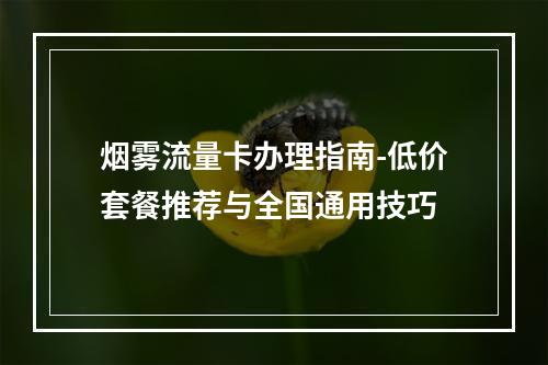 烟雾流量卡办理指南-低价套餐推荐与全国通用技巧