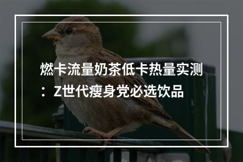 燃卡流量奶茶低卡热量实测：Z世代瘦身党必选饮品