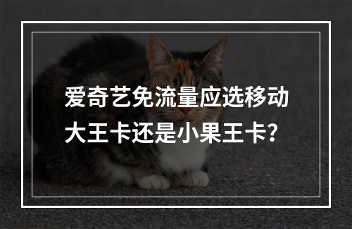 爱奇艺免流量应选移动大王卡还是小果王卡？