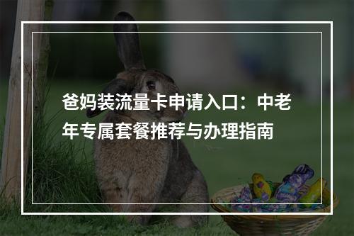 爸妈装流量卡申请入口：中老年专属套餐推荐与办理指南