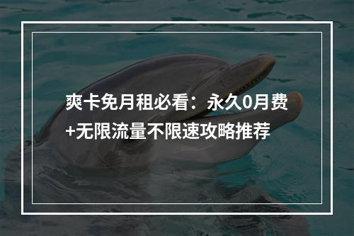 爽卡免月租必看：永久0月费+无限流量不限速攻略推荐