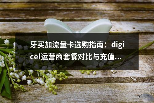 牙买加流量卡选购指南：digicel运营商套餐对比与充值攻略