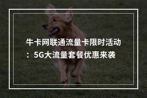 牛卡网联通流量卡限时活动：5G大流量套餐优惠来袭
