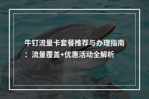 牛钉流量卡套餐推荐与办理指南：流量覆盖+优惠活动全解析