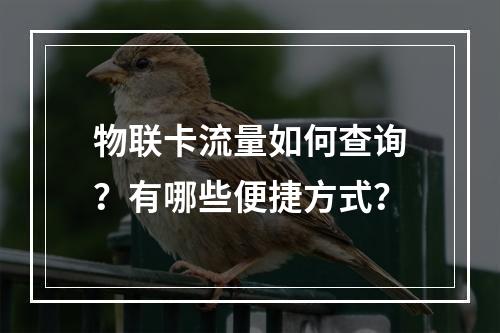 物联卡流量如何查询？有哪些便捷方式？