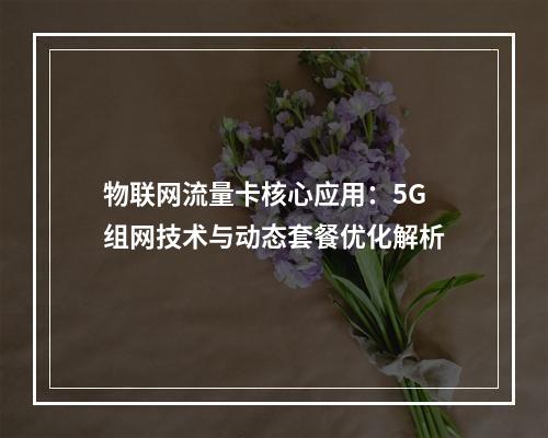 物联网流量卡核心应用：5G组网技术与动态套餐优化解析
