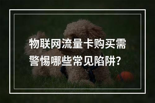 物联网流量卡购买需警惕哪些常见陷阱？
