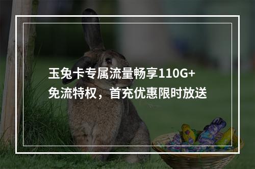 玉兔卡专属流量畅享110G+免流特权，首充优惠限时放送