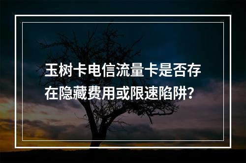 玉树卡电信流量卡是否存在隐藏费用或限速陷阱？