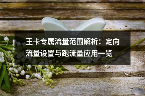 王卡专属流量范围解析：定向流量设置与跑流量应用一览