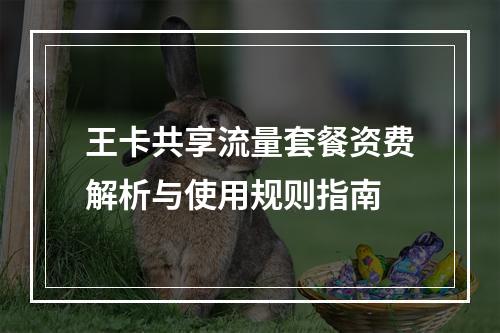 王卡共享流量套餐资费解析与使用规则指南