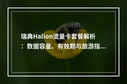 瑞典Hallon流量卡套餐解析：数据容量、有效期与旅游指南