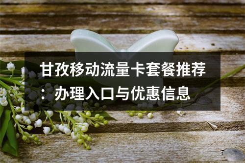 甘孜移动流量卡套餐推荐：办理入口与优惠信息