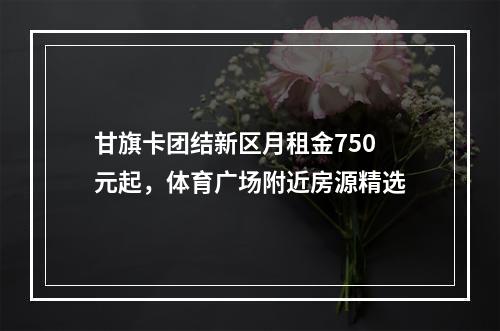 甘旗卡团结新区月租金750元起，体育广场附近房源精选