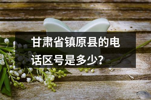 甘肃省镇原县的电话区号是多少？