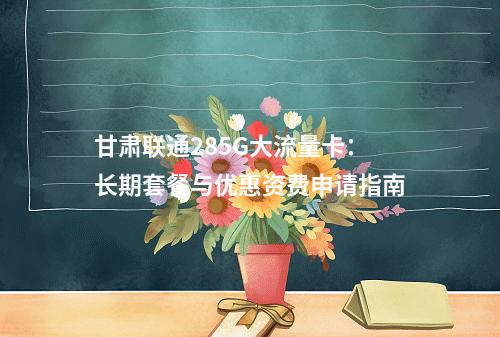 甘肃联通285G大流量卡：长期套餐与优惠资费申请指南