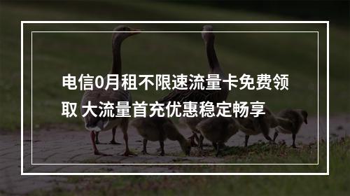 电信0月租不限速流量卡免费领取 大流量首充优惠稳定畅享