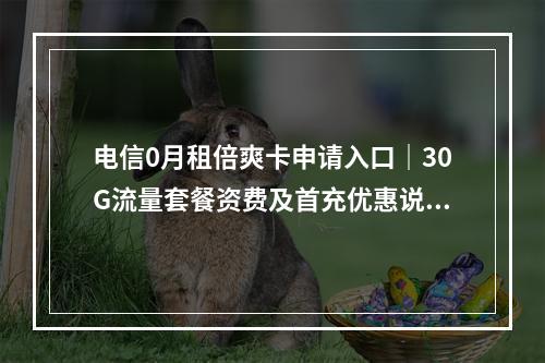 电信0月租倍爽卡申请入口｜30G流量套餐资费及首充优惠说明
