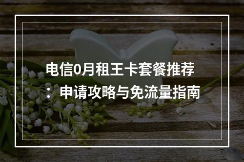电信0月租王卡套餐推荐：申请攻略与免流量指南