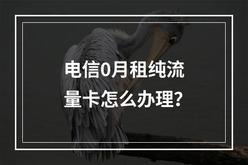 电信0月租纯流量卡怎么办理？