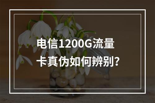 电信1200G流量卡真伪如何辨别？