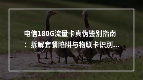 电信180G流量卡真伪鉴别指南：拆解套餐陷阱与物联卡识别要点