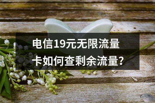 电信19元无限流量卡如何查剩余流量？