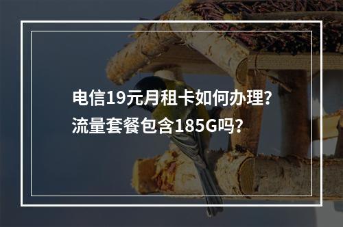 电信19元月租卡如何办理？流量套餐包含185G吗？