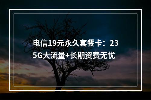电信19元永久套餐卡：235G大流量+长期资费无忧