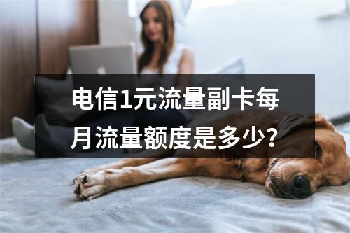 电信1元流量副卡每月流量额度是多少？