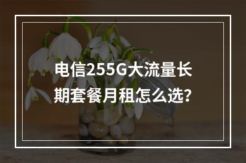 电信255G大流量长期套餐月租怎么选？