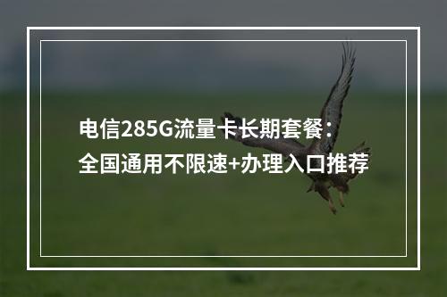 电信285G流量卡长期套餐：全国通用不限速+办理入口推荐