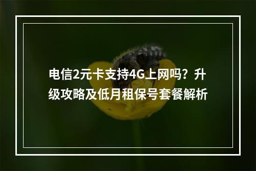 电信2元卡支持4G上网吗？升级攻略及低月租保号套餐解析