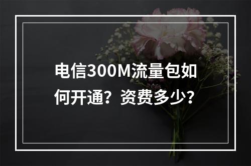 电信300M流量包如何开通？资费多少？