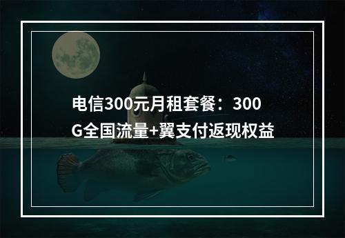 电信300元月租套餐：300G全国流量+翼支付返现权益