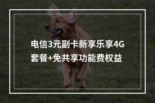 电信3元副卡新享乐享4G套餐+免共享功能费权益
