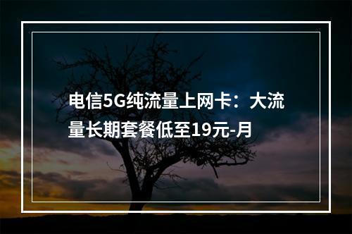 电信5G纯流量上网卡：大流量长期套餐低至19元-月