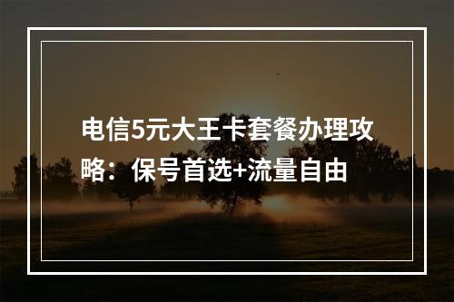电信5元大王卡套餐办理攻略：保号首选+流量自由