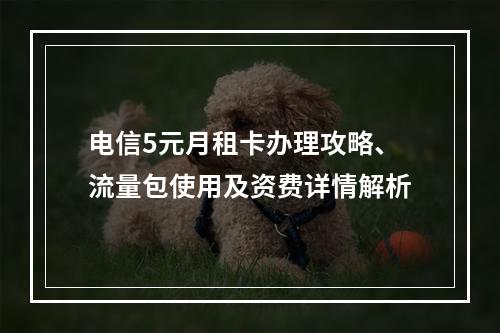 电信5元月租卡办理攻略、流量包使用及资费详情解析