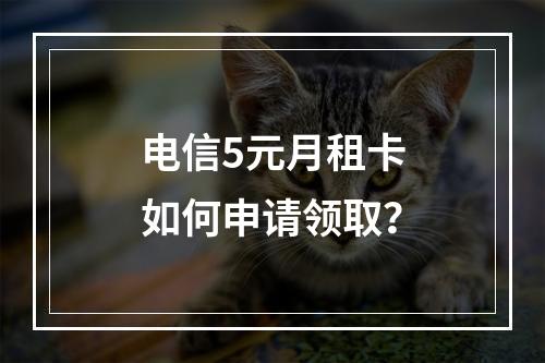 电信5元月租卡如何申请领取？