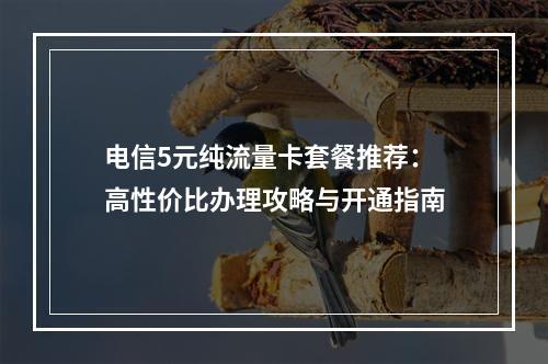 电信5元纯流量卡套餐推荐：高性价比办理攻略与开通指南