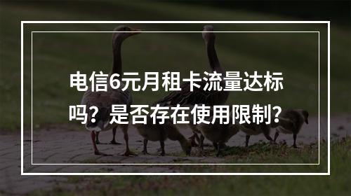 电信6元月租卡流量达标吗？是否存在使用限制？
