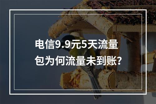 电信9.9元5天流量包为何流量未到账？