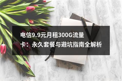 电信9.9元月租300G流量卡：永久套餐与避坑指南全解析