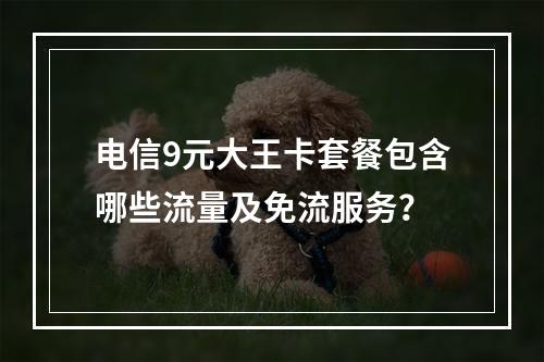 电信9元大王卡套餐包含哪些流量及免流服务？