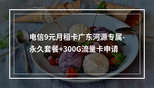电信9元月租卡广东河源专属-永久套餐+300G流量卡申请