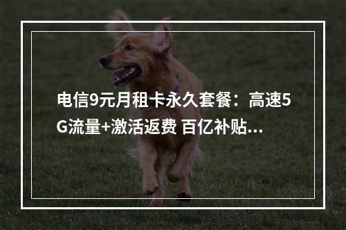 电信9元月租卡永久套餐：高速5G流量+激活返费 百亿补贴限时享